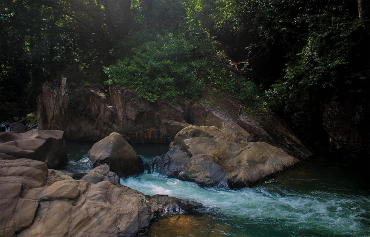 Tree Houses By Jungle River Ginigathena Buitenkant foto