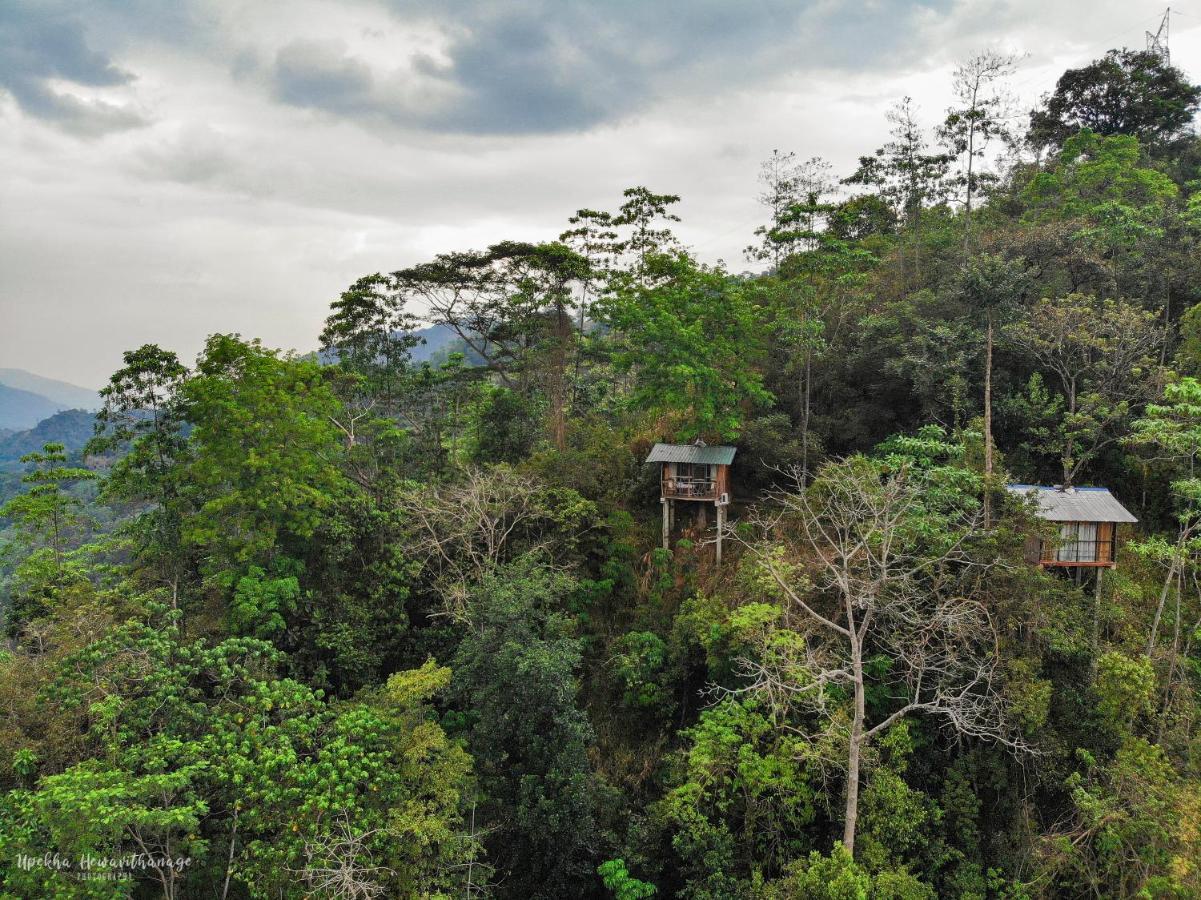 Tree Houses By Jungle River Ginigathena Buitenkant foto